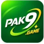 PAK9 Game