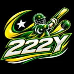 222Y Game